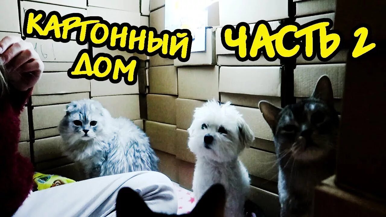 Ляпота тв. Ляпота тв. Раскраска ляпота тв. Ляпота тв. Ляпота тв кевин и билли.
