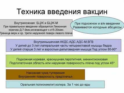 Анатомическая область введения вакцины бцж тест