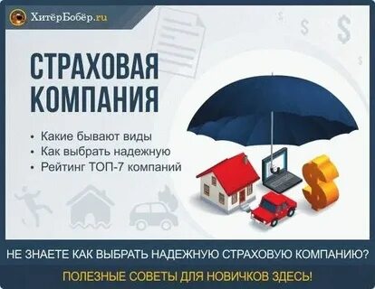 Как застраховать организацию