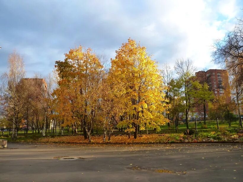 Осень в петрозаводске фото