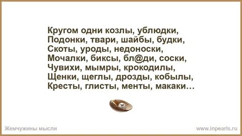 Сволочи подонки