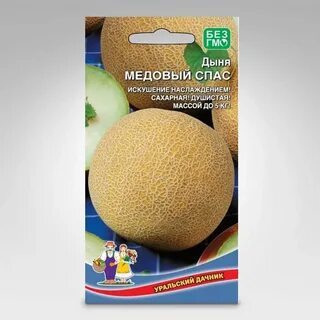 Дыня медовый спас