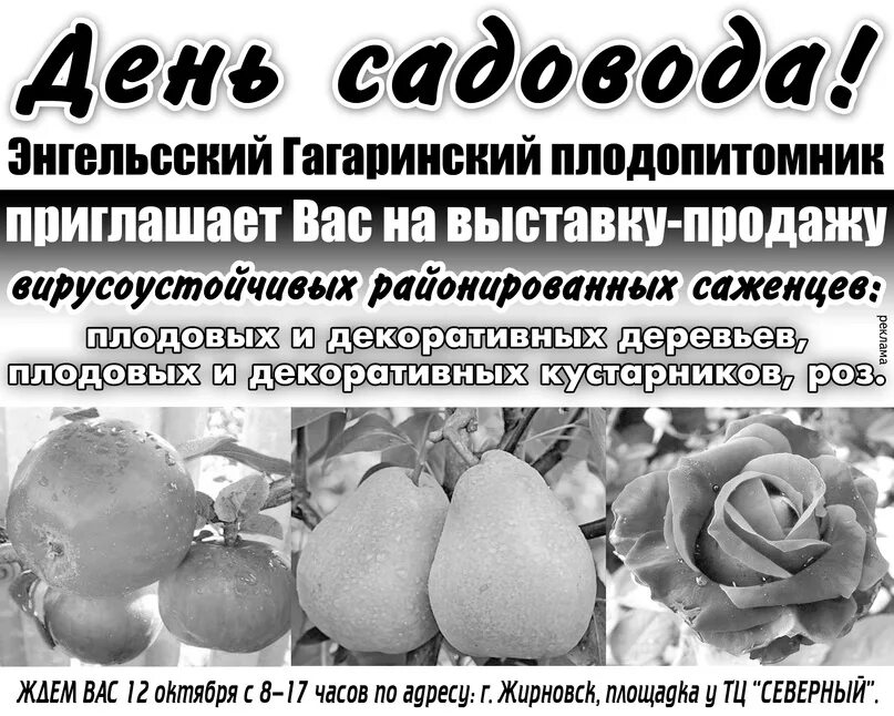 Гагаринский плодопитомник энгельс каталог товаров