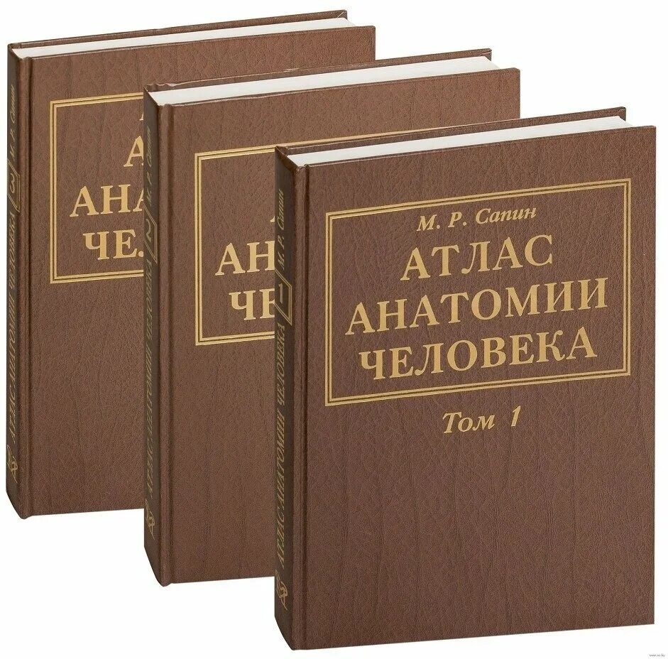 Человеческая анатомия части тела. Карта спб 1914 года. Карта гесселя герритса. Атлас 3 т. Билич крыжановский атлас анатомии опорно двигательный аппарат 1 том.