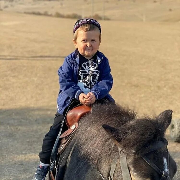 Сколько лет хасбуле магомедову. Хасбик и хабиб. Сколько лет хасбуле магомедову. Дагестанец хасбулат магомедов. Хасбула магомедов хасбик.