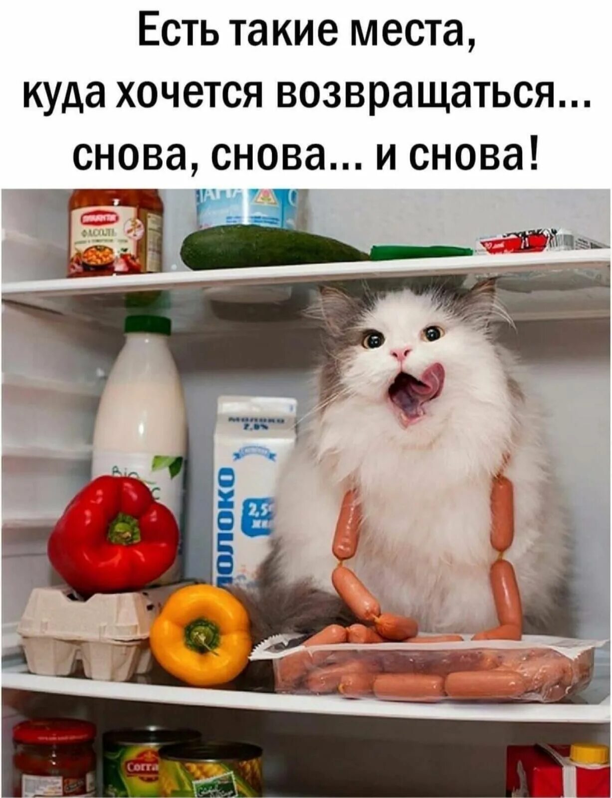 Трогай где хочешь