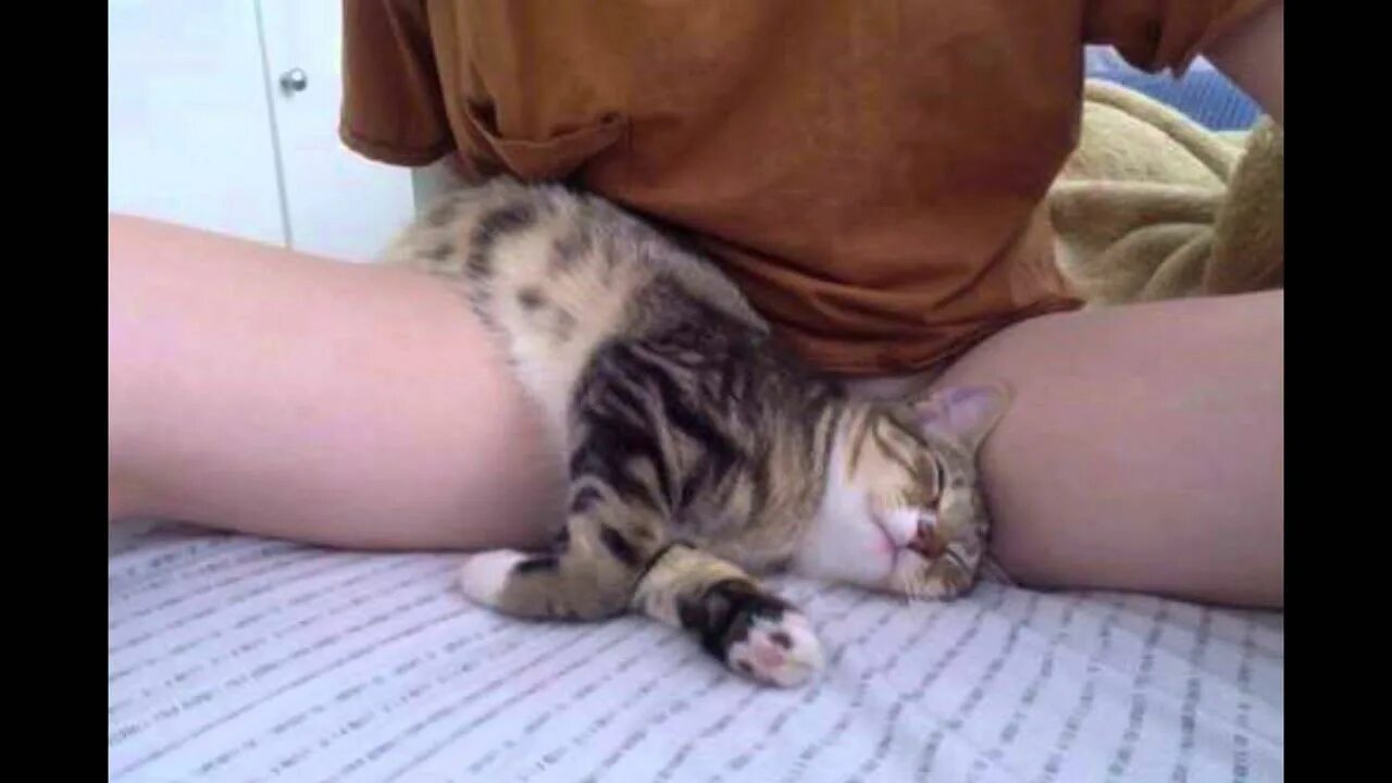 Девушка с котом на руках и голой киской между ног фото