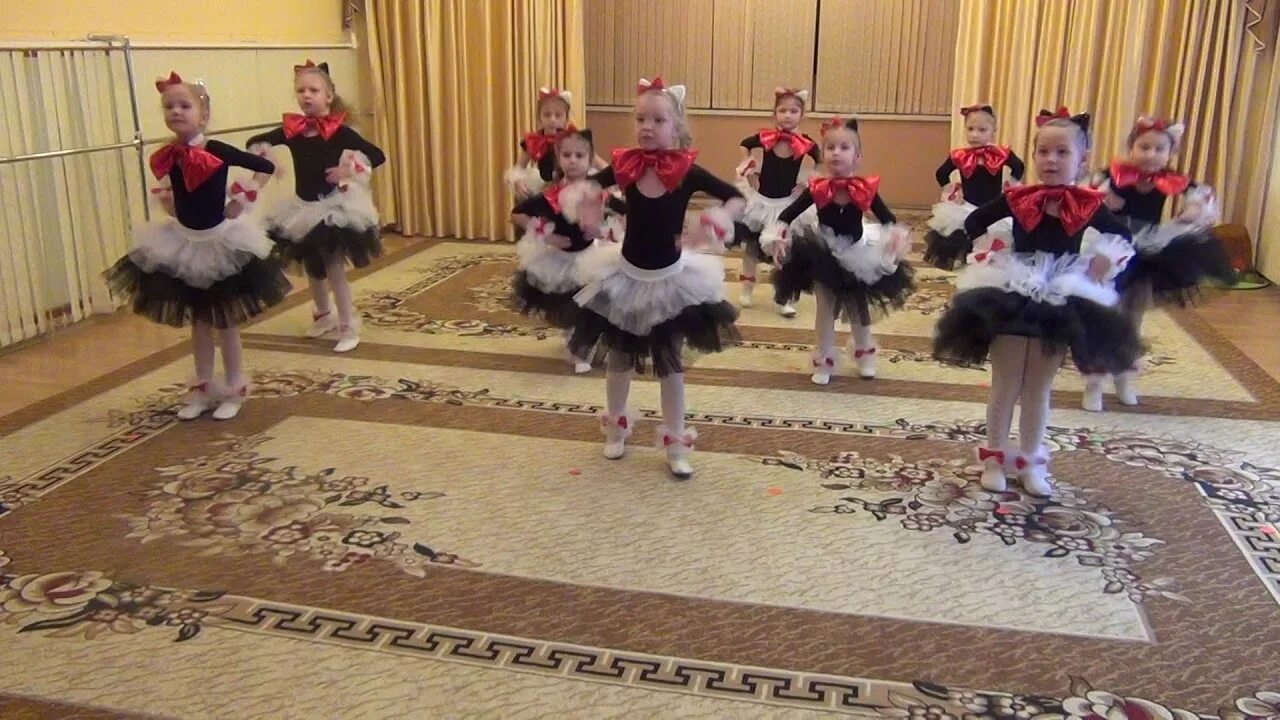 Танец кошек для детей. Танец кошек в детском саду. Танец кошка беспородная. Кошка детский танец. Танец кошек для детей.