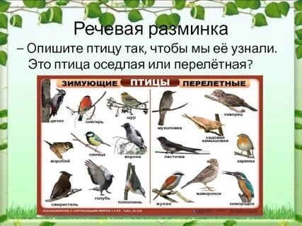 Перелетные птицы 1 класс