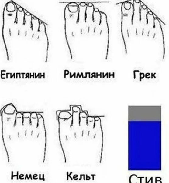 3 типа стопы. Ноги разных типов людей. ступни различных типов людей. форма стопы. типы стопы.