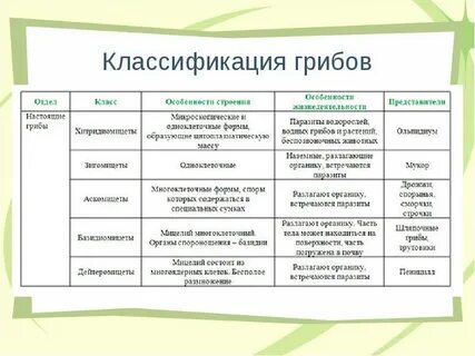 Грибы вид род семейство