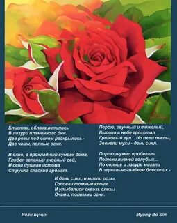 Бунин розы