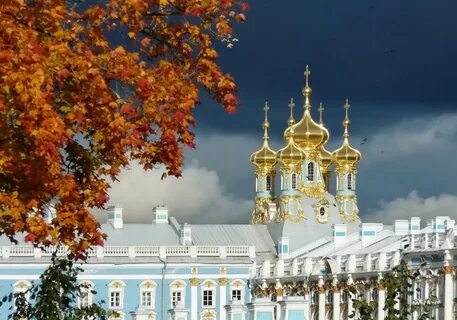 Свет в пушкине
