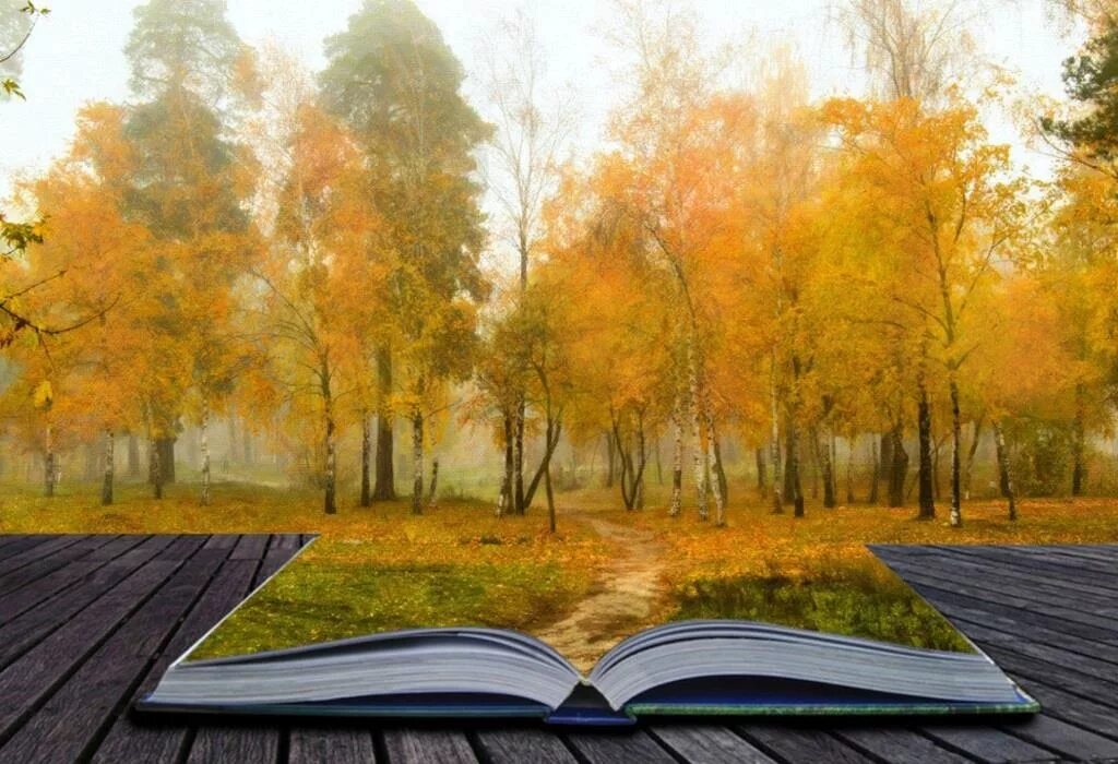 Книга желтый лист. Книга на фоне природы. Книги про осень. Осень книги фон. Книга природа.