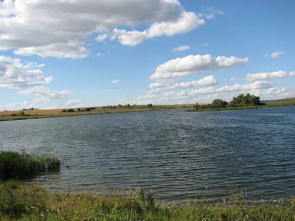 Шатское водохранилище. Лещ, плотва, карась. Рыбалка Черноземье Дзен