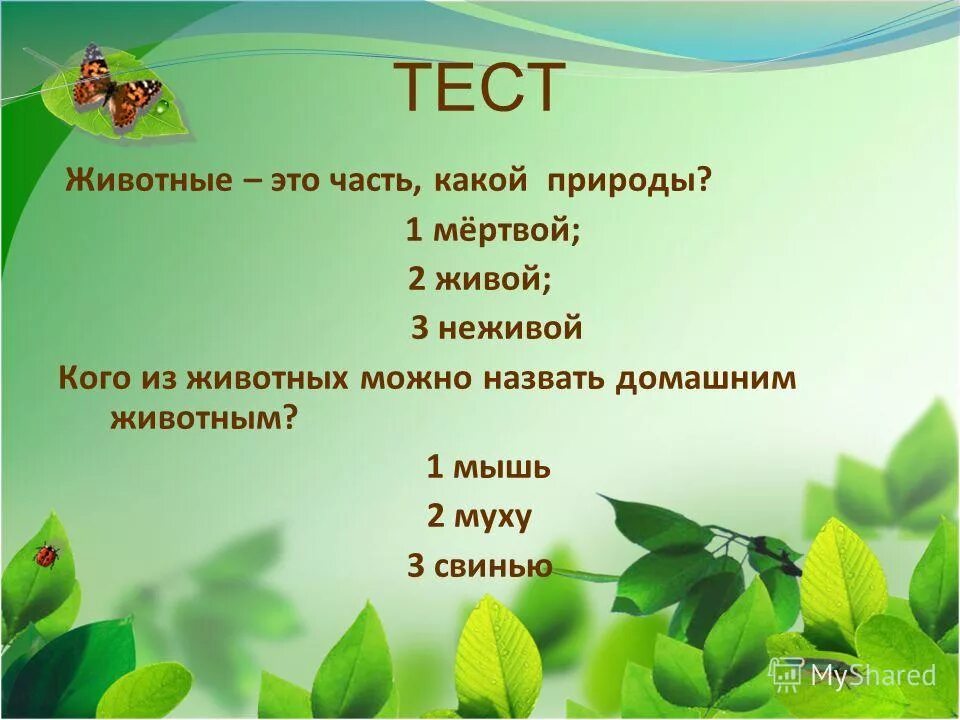 Тесты о природе и животных