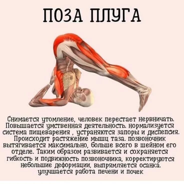 Упражнение поза бабочки. Поза польза и вред. Поза польза и вред. Ардха уштрасана. Поза польза и вред.