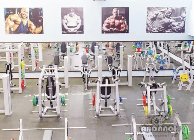 аполлон спортзал воронеж. аполлон спортзал. аполлон воронеж фитнес клуб. аполлон спортзал. тренажерный апполон аполлон зал красноярск.