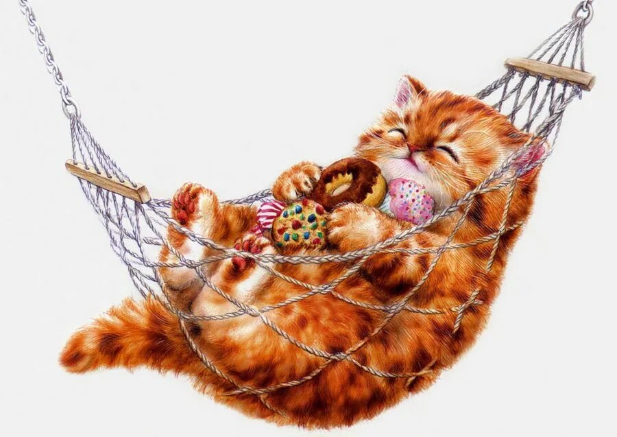 Дайте картинок кошек. Художника kayomi harai. картины kayomi harai. гамак для кошек. котенок в гамаке.