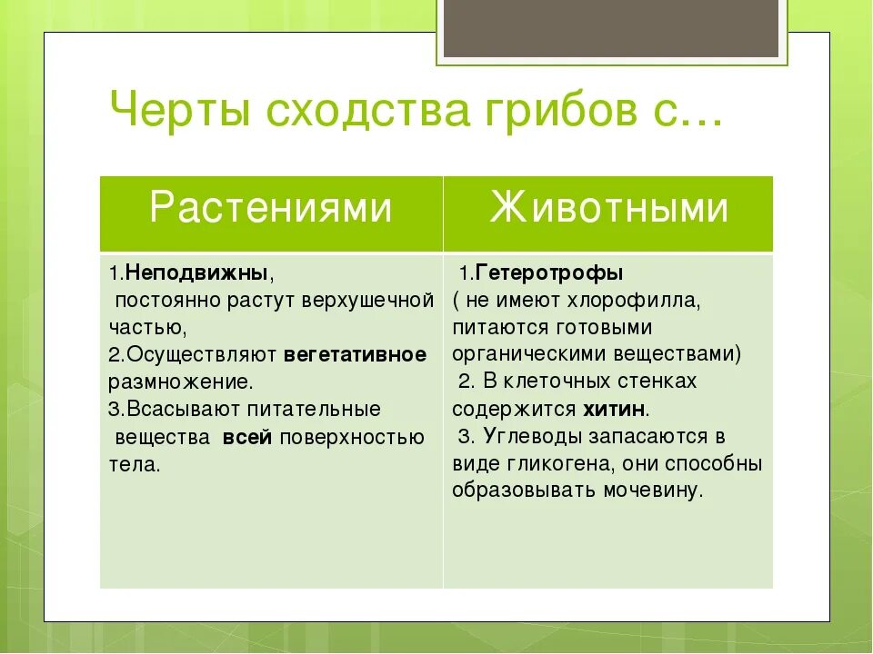 Выберите признак отличающий. Сходство грибов с растениями и животными. Сходство растенийи гриьоа. Водство грибов с растениями. Сходства и различия грибов и растений.