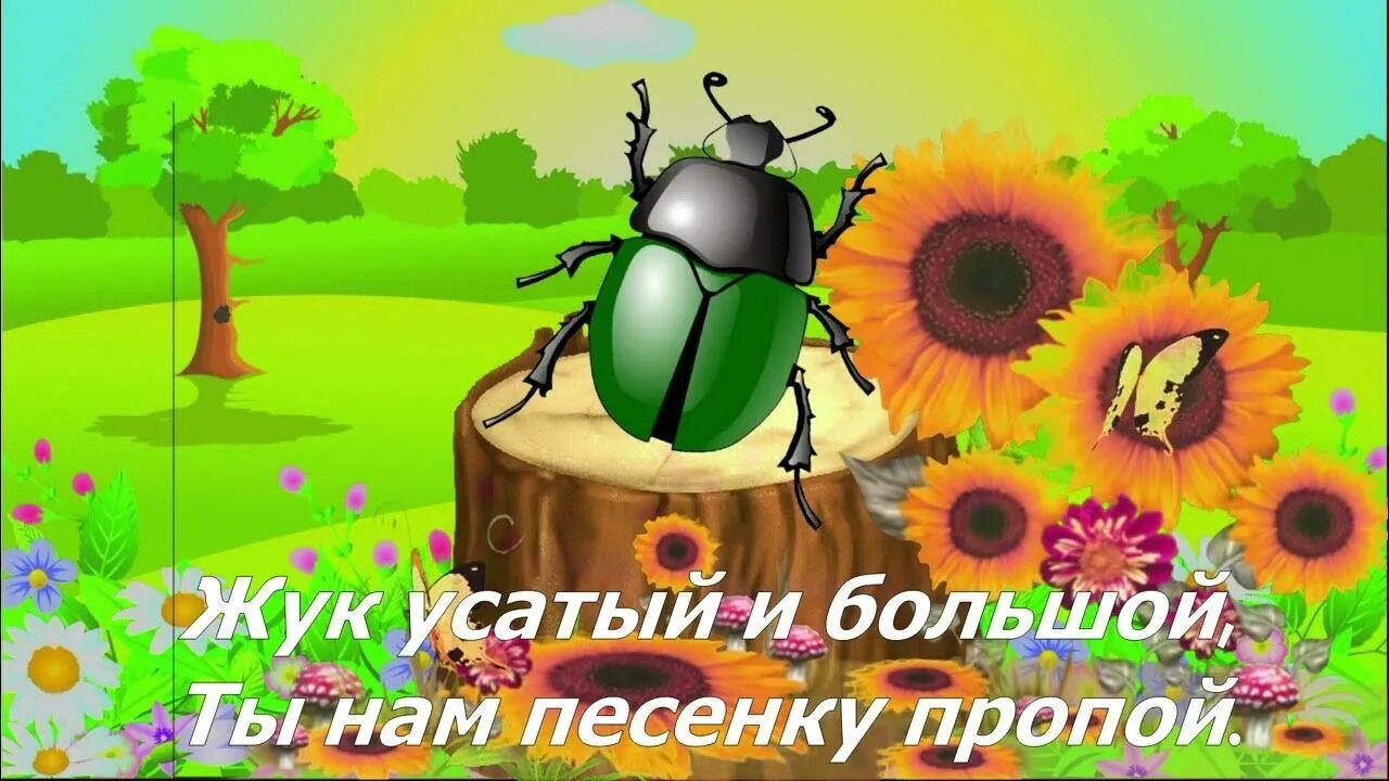 Жуки детские песни