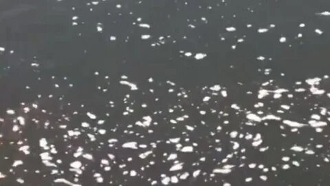 Осадки в виде белых хлопьев