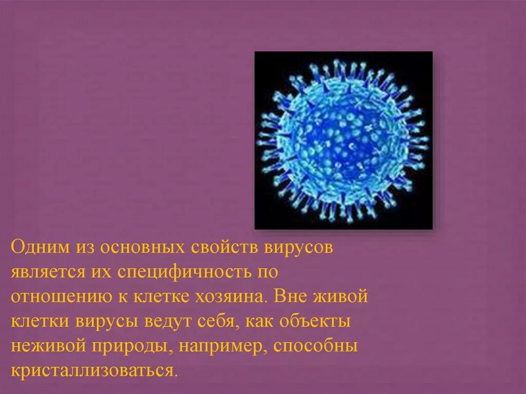 Вирус является живым организмом. Движение вирусов. Способы передвижения. У вирусов. Вирусы передвигаются с помощью. Вирусы способны кристаллизоваться.