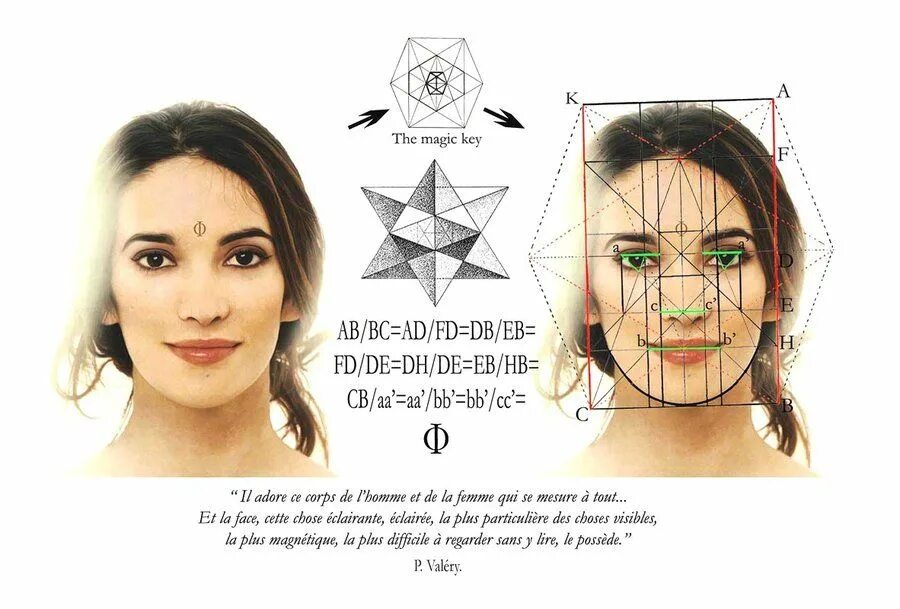 REVEALED: 17 Scientific Laws Of Attraction Facial proportions, Face proportions,