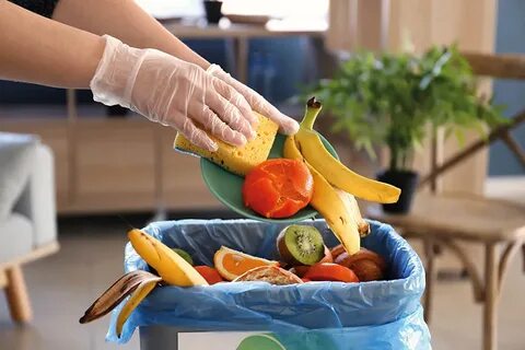 Куда деть продукты