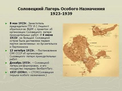 Где было назначено