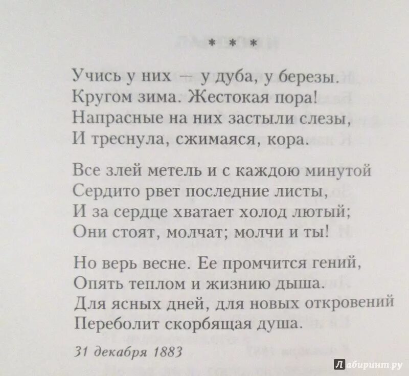 Стихи Фета. Стихотворение Фета о природе короткие. Стихи Фета короткие. Фет стихи о природе короткие легкие. Фет легкие стихи 16