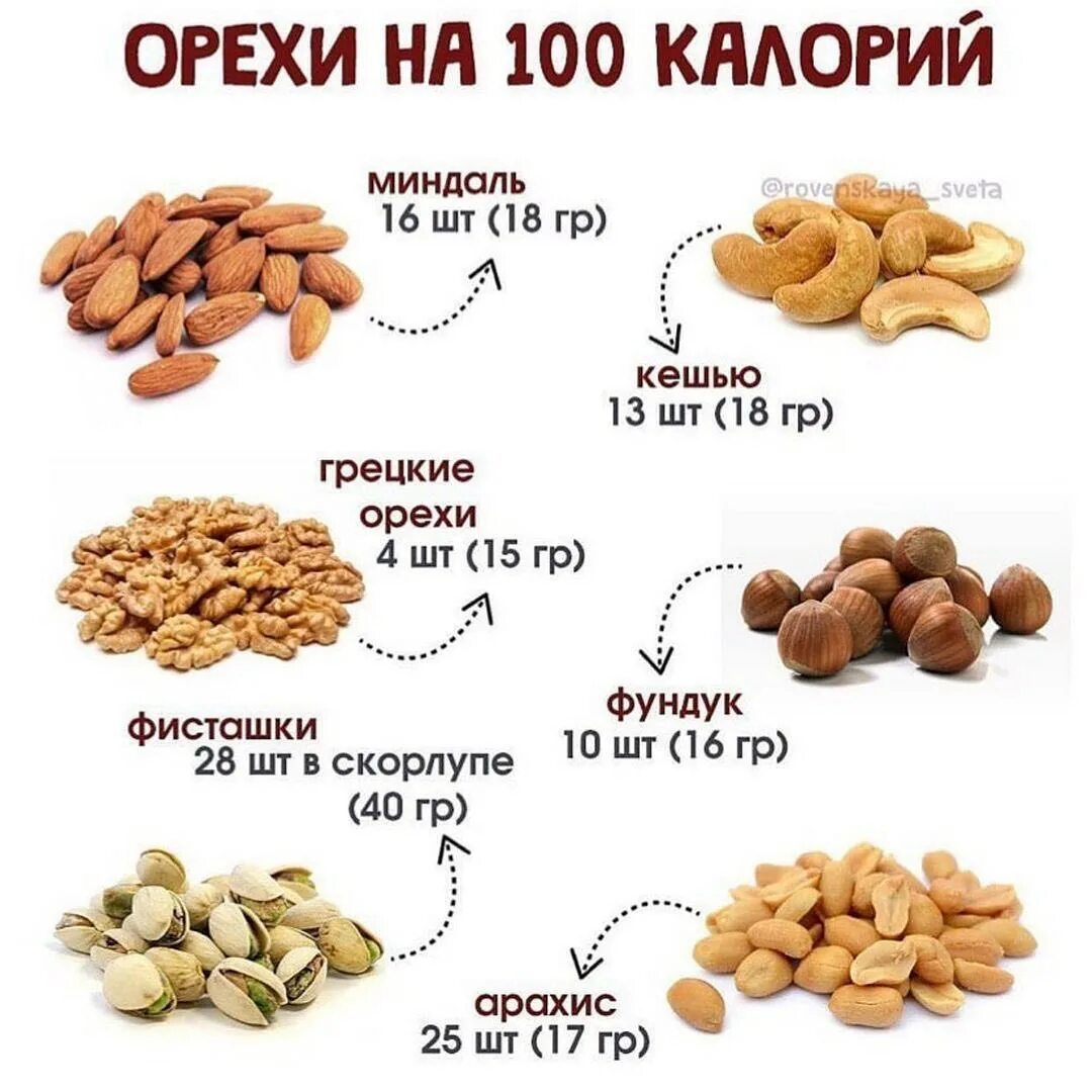 Грецкий орех кбжу. Виды орехов. в орехах много белка. фундук калорийность на 100. орех фундук калорийность на 100.