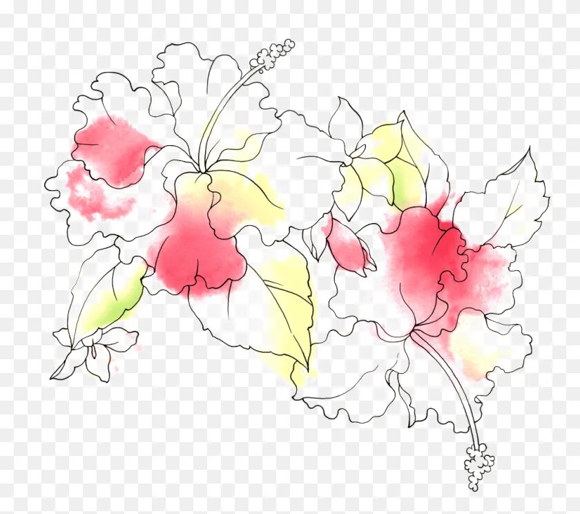 Растровые рисунки цветов. Графические цветы цветные. Цветы Графика на прозрачном фоне. Цветы контур и акварель. Графический цветок на прозрачном фоне.