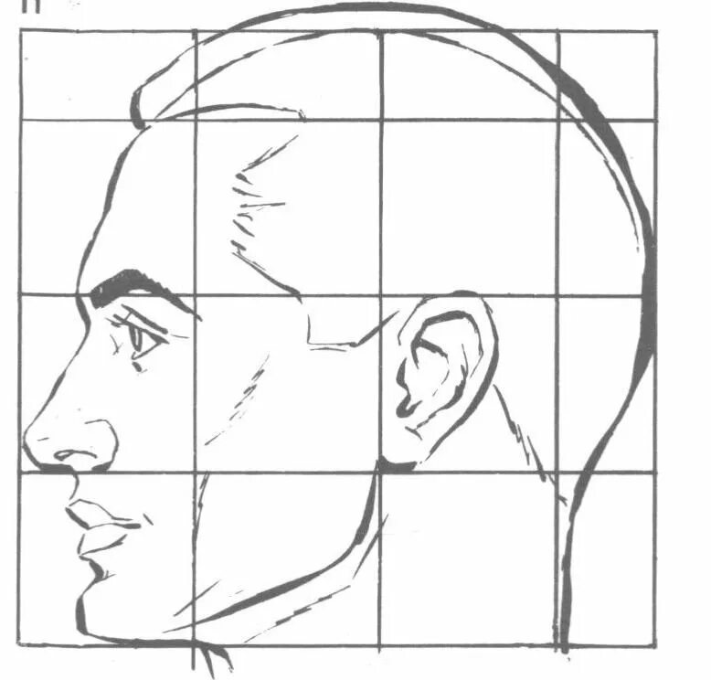 Схема пропорции головы человека в профиль. Построение портрета сбоку. Пропорции портретов сбоку. Схема построения головы сбоку. Профиль поэтапно