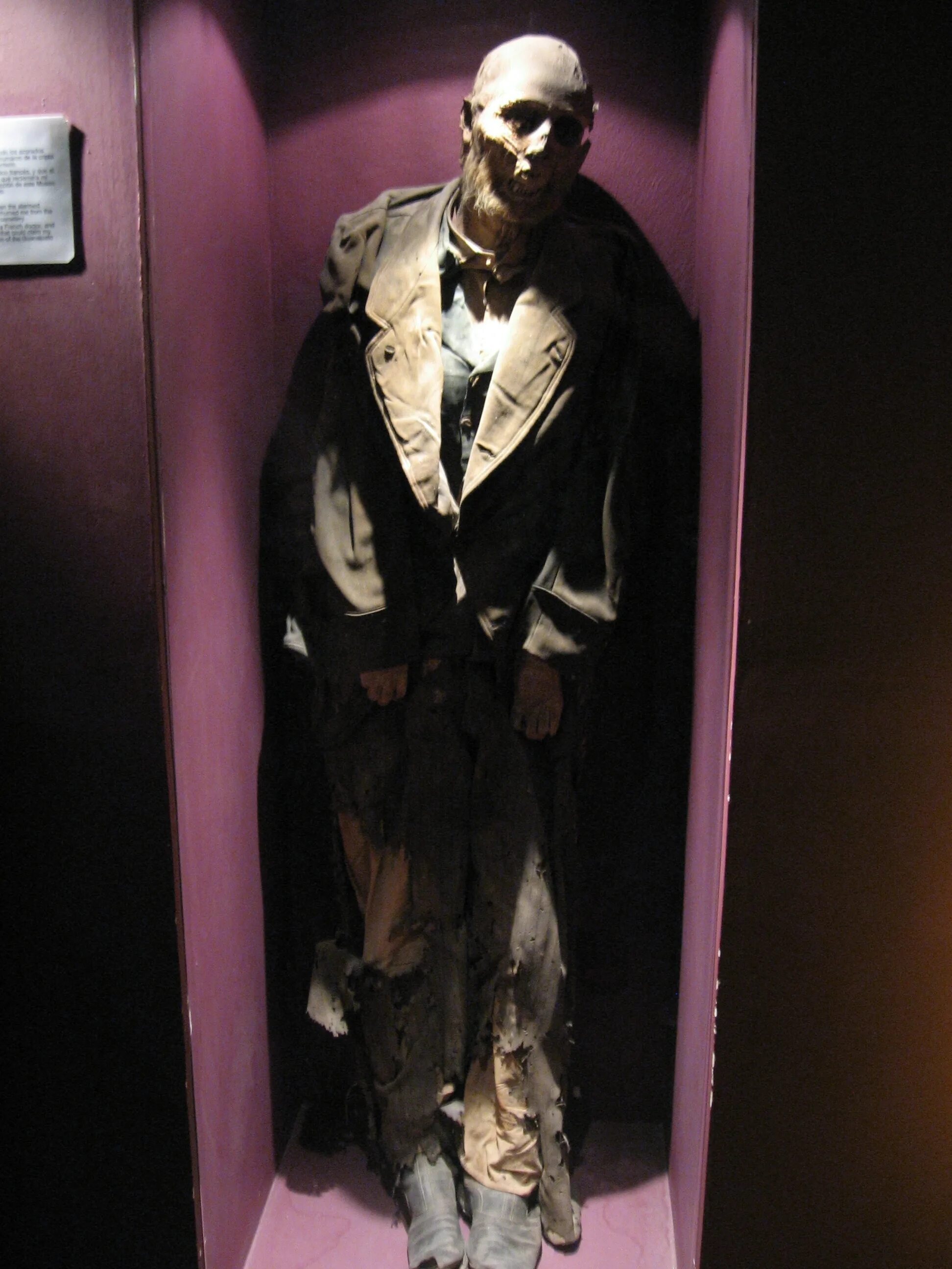File:MOmias de Guanajuato.JPG - Wikimedia Commons