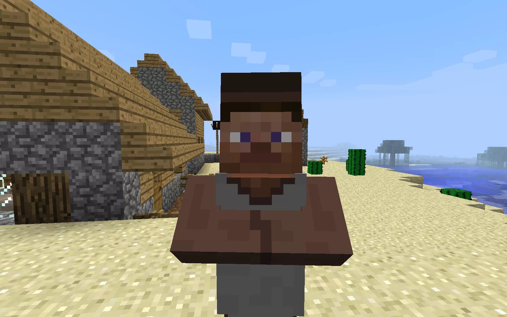 Villager Steve. Майнкрафт. Minecraft PP. Стив майнкрафт.