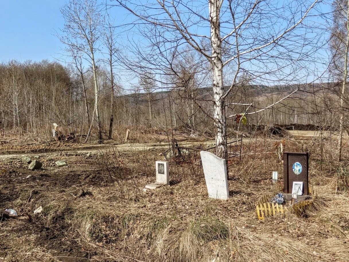 Скажи где кладбище. Кладбище животных. кладбище домашних животных. кладбище домашних животных памятники. кладбище животных заповедная.