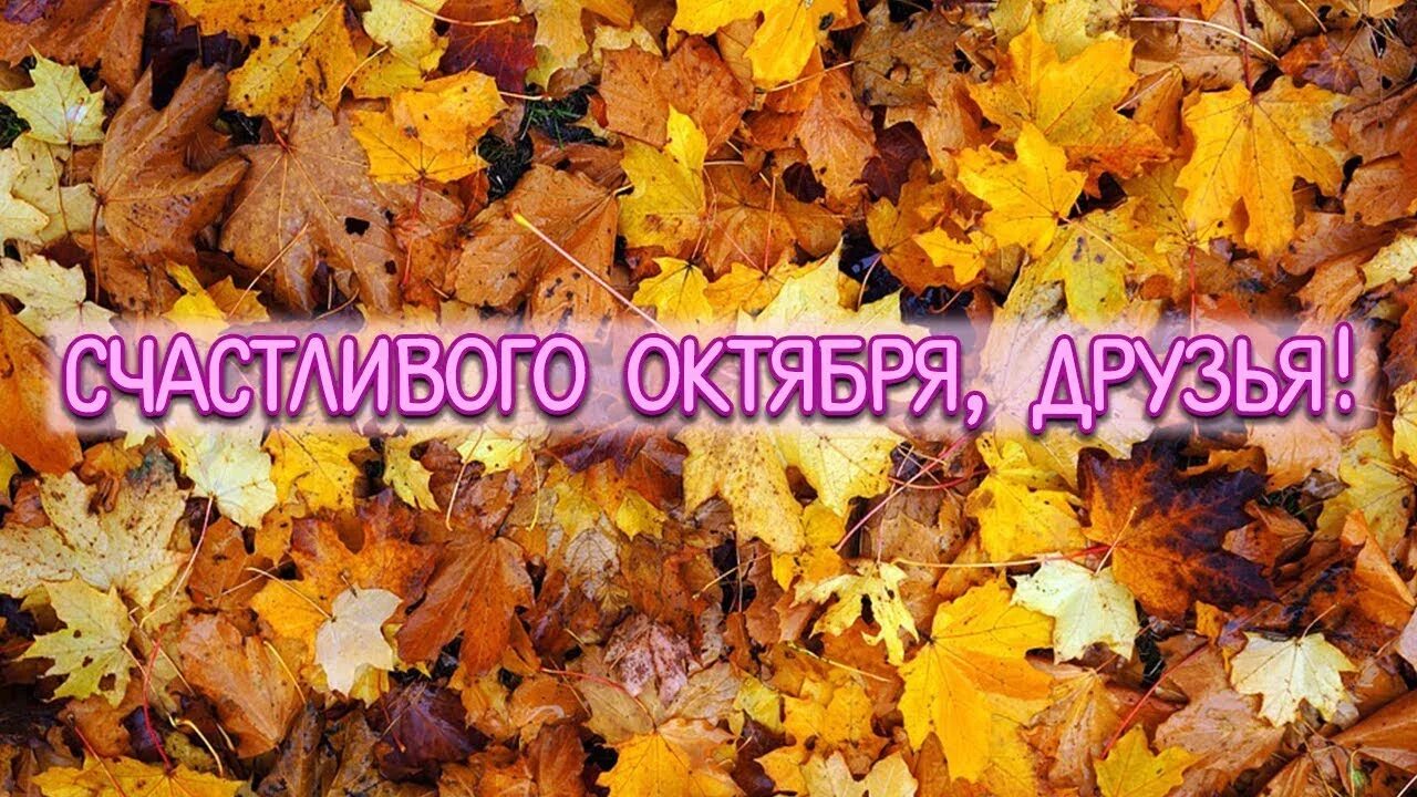 October first. Октябрь надпись красивая. Счастливого октября открытки. Октябрь картинки с надписями. Красивая надпись осенних месяцев.