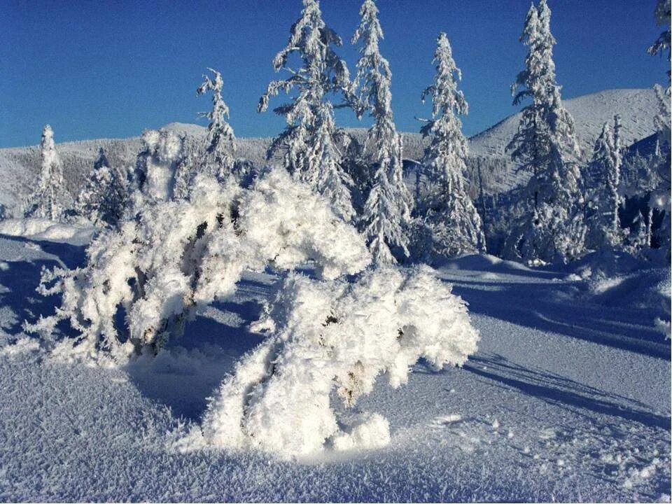 Февраль. Февраль месяц метелей и вьюг. Февраль картинки. Февраль месяц снежный. Полный месяц февраля