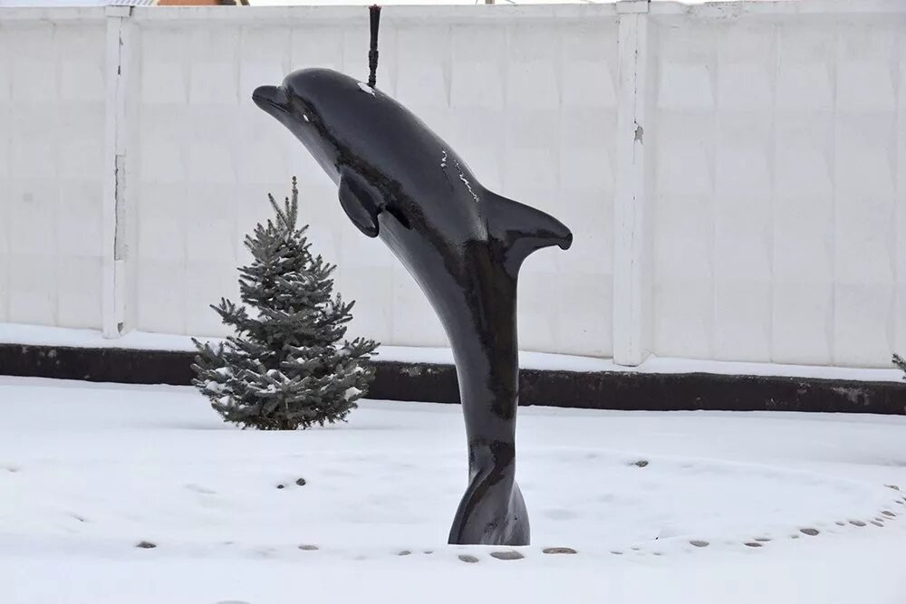 Черный дельфин. Соль Илецк статуя черный Дельфин. Фонтанчик с черным дельфином. Памятник черный Дельфин в соль-Илецке. Памятник дельфину в соль Илецке.