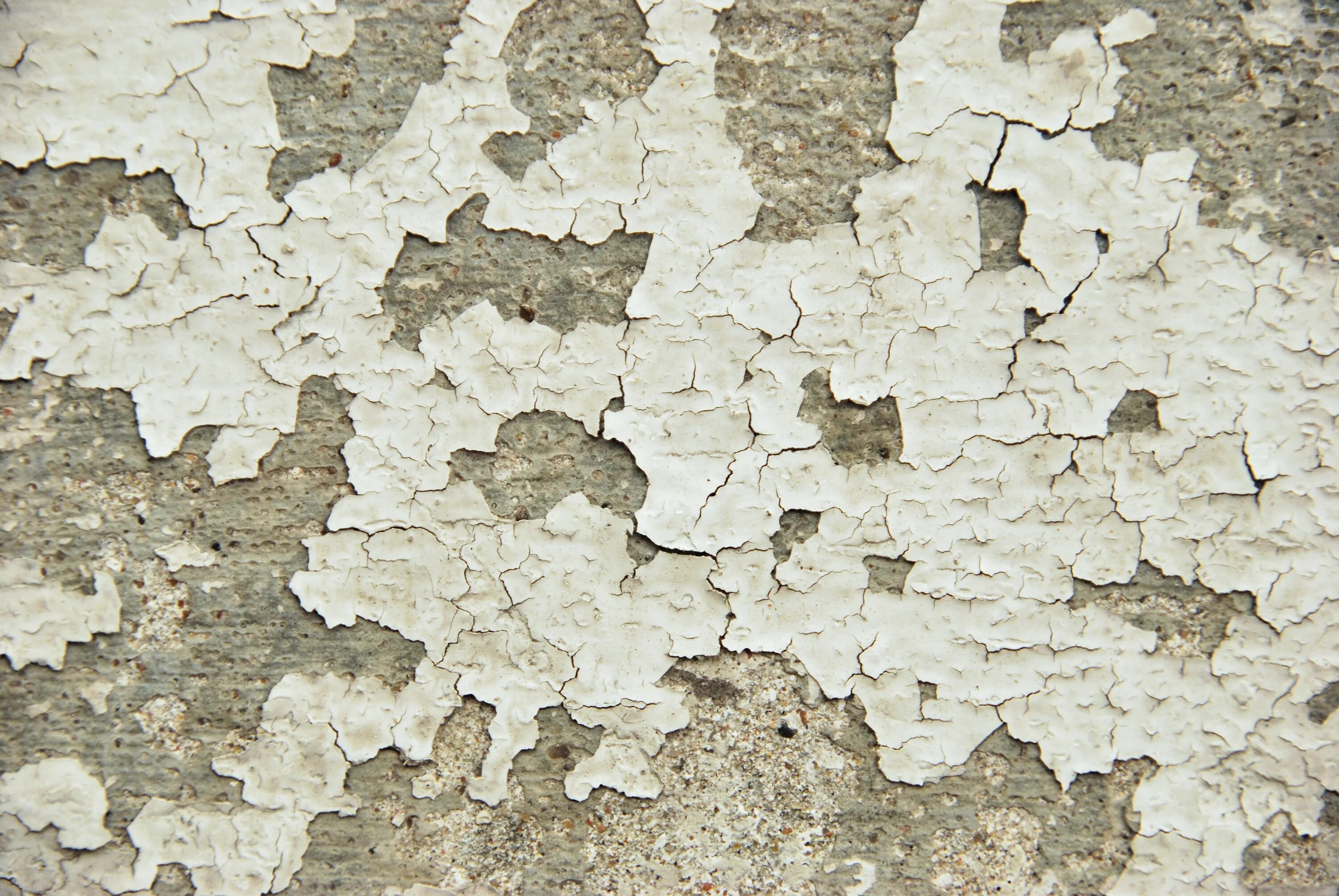 Share textures