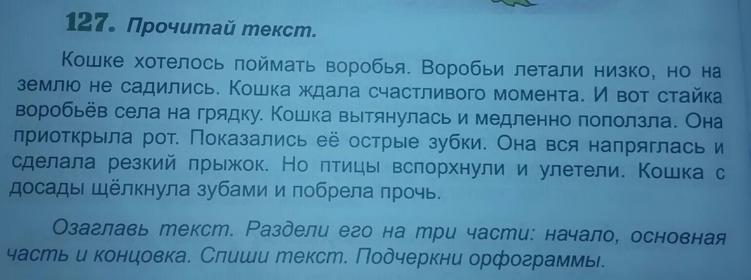 Открой рот тексты. Кошке хотелось поймать воробья. Кошке хотелось поймать воробья разделить на три части. Кошке хотелось поймать воробья воробьи. Кошке хотелось поймать воробья 3 класс.