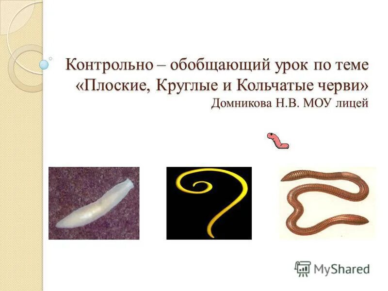 тест по биологии 7 класс тип плоские черви с ответами. плоские круглые и кольчатые черви биология. проверочная работа типы червей плоские круглые кольчатые. тип плоские черви тест. плоские круглые кольчатые черви вариант 2.