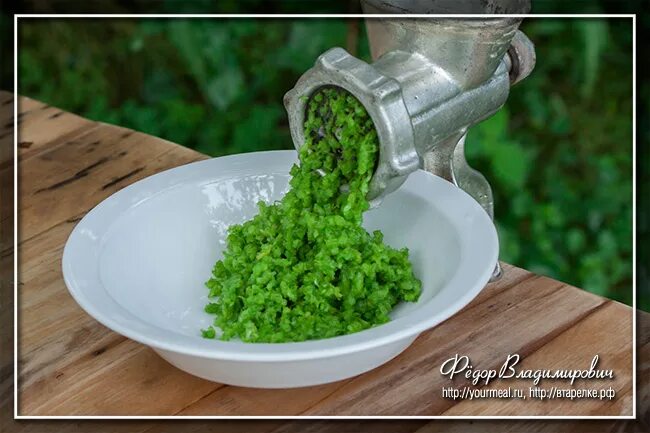 Стрелок чеснока через мясорубку. Стрелки чеснока в мясорубке рецепт. Стрелки чеснока через мясорубку. Стрелки чеснока рецепт. Черемша это чесночные стрелки.