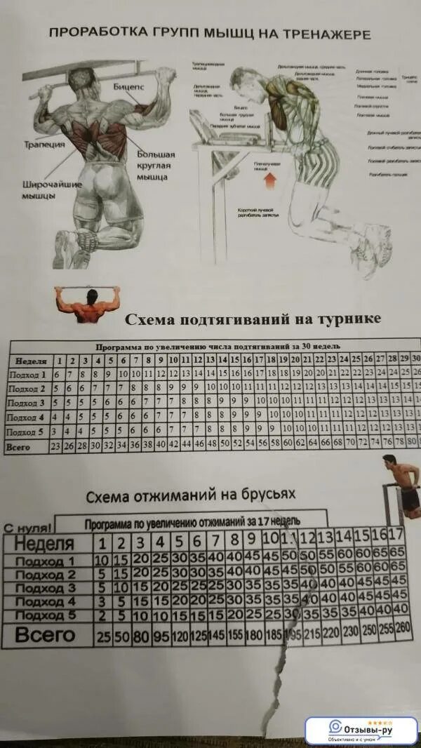 Подтягивания за месяц. Программа тренировок на турнике и брусьях на массу. Программа тренировок на турнике и брусьях для начинающих. Программа тренировок на турнике 3 в 1. Турник брусья пресс 3 в 1 программа тренировок.