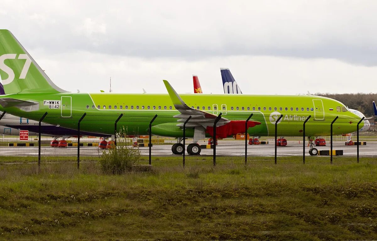 S7 airlines новосибирск. S7 Airlines Толмачево. S7 Новосибирск. Толмачёво новостбирск s7.