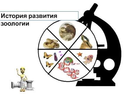 История зоологии