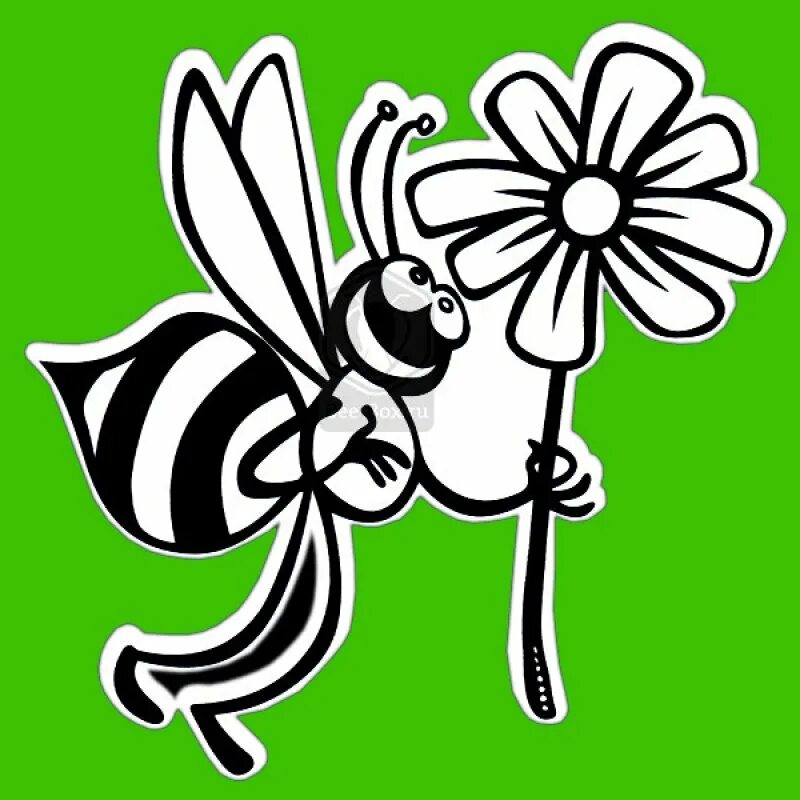 Детский сад пчелка. На окно села пчела. На окно села пчела. Пчелы для детского сада. На окно села пчела.