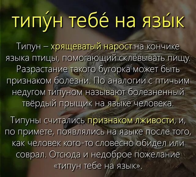 Типун тебе на язык что это значит. Типун тебе на язык что это значит