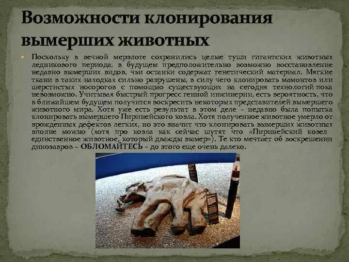 Практическая работа исследование остатков вымерших животных. Клонирование вымерших животных. клонирование исчезающих видов животных. клонирование исчезнувших видов. восстановления вымерших видов животных.